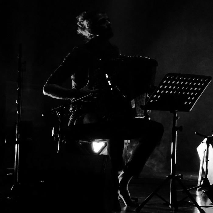 Portrait d'artiste - Vincent Peirani Musicien